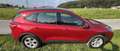 Ford Kuga 2,0 EcoBlue Hybrid Cool & Connect - thumbnail 2