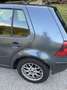 Volkswagen Golf Golf 4 1.9 tdi 4 Motion - thumbnail 7