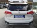 Ford Focus Turnier 1,0 EcoBoost Active Weiß - thumbnail 6