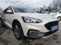 Ford Focus Turnier 1,0 EcoBoost Active Weiß - thumbnail 10