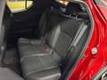 Toyota C-HR 180H Advance Rojo - thumbnail 9