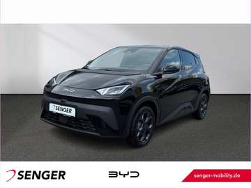 Surf Comfort Leder ACC LED Carplay 360°K