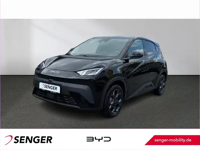 BYD Dolphin Surf Comfort Leder ACC LED Carplay 360°K