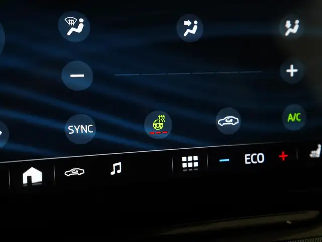 Skoda Enyaq view 29