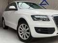 Audi Q5 2.0 TFSI quattro / Panorama / Onderhouden Wit - thumbnail 8