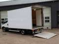 Iveco Daily 35S14 - 136pk Euro 6 Bakwagen - Dhollandia Klep + Blanc - thumbnail 6