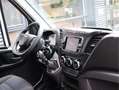 Iveco Daily 35S14 - 136pk Euro 6 Bakwagen - Dhollandia Klep + Blanc - thumbnail 11