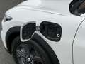 Ford Mustang Mach-E RWD 75 kWh Panodak / 360 camera / Winterpack / B&O Wit - thumbnail 15