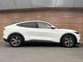 Ford Mustang Mach-E RWD 75 kWh Panodak / 360 camera / Winterpack / B&O Wit - thumbnail 6