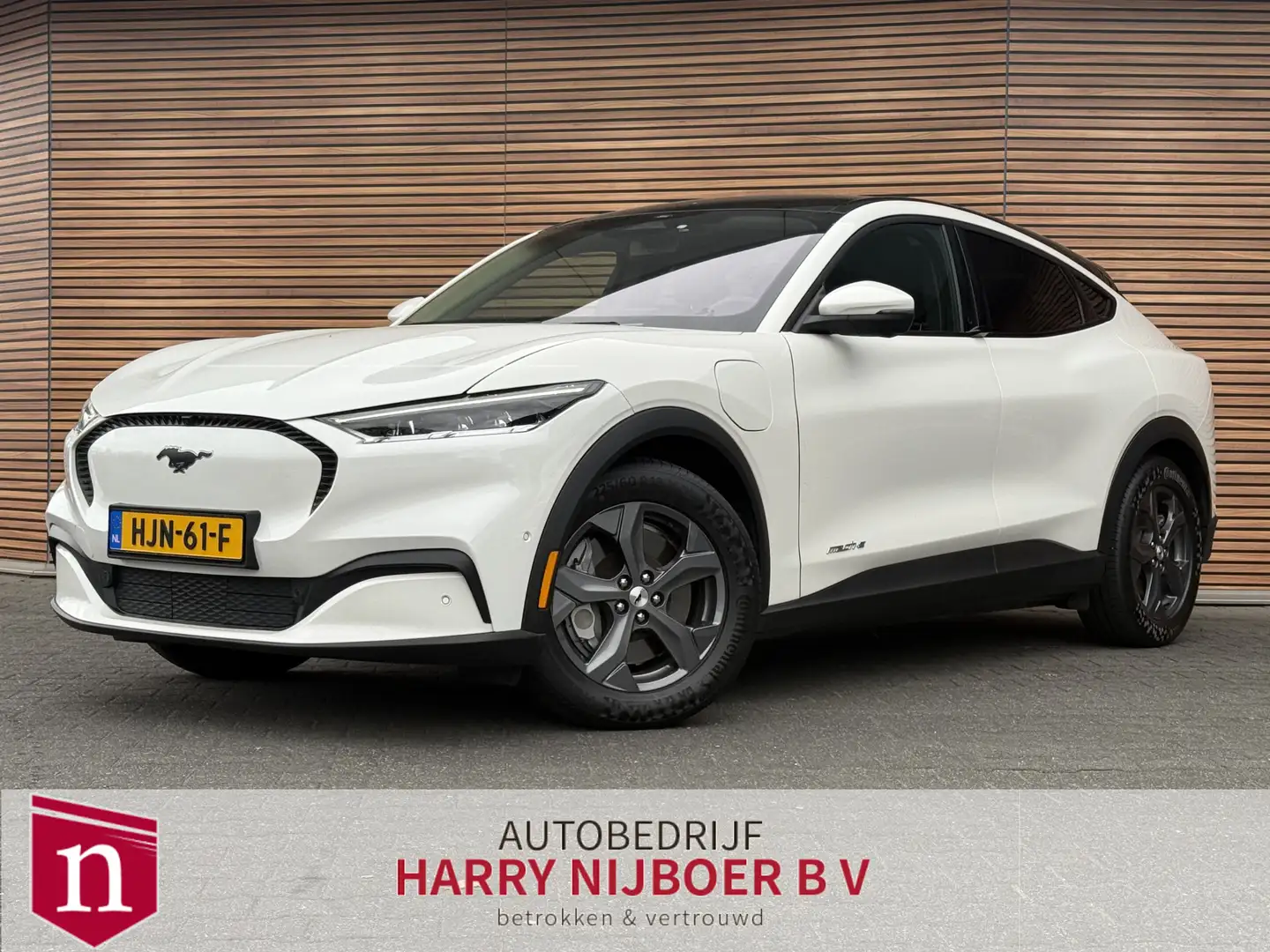 Ford Mustang Mach-E RWD 75 kWh Panodak / 360 camera / Winterpack / B&O Wit - 1