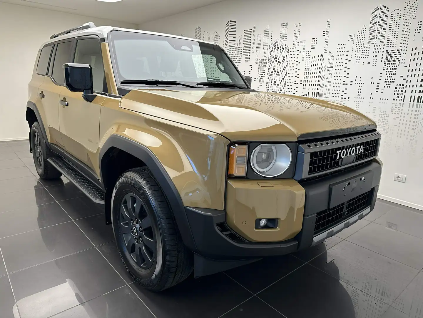 Toyota Land Cruiser Land Cruiser 2.8 d-4d First Edition awd auto Oro - 2