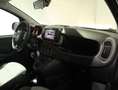 Fiat Panda Cross 1.0 FireFly S&S Hybrid *PROMO PARISI GROUP* Rosso - thumbnail 12