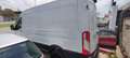 Ford Transit FT 350 EcoBlue Hybrid L3 Kombi Limited 130 Blanco - thumbnail 11