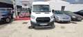 Ford Transit FT 350 EcoBlue Hybrid L3 Kombi Limited 130 Blanco - thumbnail 13