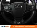 Lexus UX 250h UX 250h F SPORT E-Four Gris - thumbnail 19