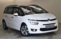 Citroen Grand C4 Picasso C4 2.0 HDi 150PS Grand Picasso/Spacetourer LED Blanco - thumbnail 1