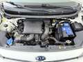 Kia Picanto 1.0 DPi ComfortLine 5p Blanco - thumbnail 23