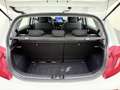Kia Picanto 1.0 DPi ComfortLine 5p Blanco - thumbnail 21