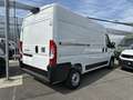 Fiat Ducato 35Q MH2 140CV 2.2 Multijet 3 E6E Bianco - thumbnail 8
