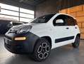 Fiat Panda VAN  0.9 t.air t. 4x4 NEOPATENTATI Bianco - thumbnail 1
