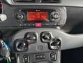 Fiat Panda VAN  0.9 t.air t. 4x4 NEOPATENTATI Bianco - thumbnail 15