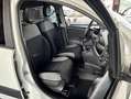 Fiat Panda VAN  0.9 t.air t. 4x4 NEOPATENTATI Bianco - thumbnail 10