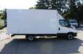 Iveco Daily Koffer 35C18*Himatic*Standheiz*ACC* Blanco - thumbnail 12