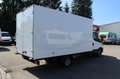 Iveco Daily Koffer 35C18*Himatic*Standheiz*ACC* Blanco - thumbnail 11