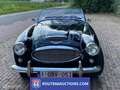 Austin-Healey 3000 MKII BT7 | 1962 | Route 66 Auctions Negru - thumbnail 7
