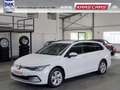 Volkswagen Golf Variant 8 Life Standhzg.*Keyless*Komfort-Paket*Service neu Blanc - thumbnail 5