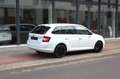 Skoda Fabia Combi 1.2 JOY Autom. Navi/Pdc/Tempo Weiß - thumbnail 8
