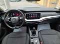 Skoda Octavia Combi 2,0 TDI Business Erster Besitz Silber - thumbnail 13