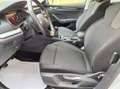Skoda Octavia Combi 2,0 TDI Business Erster Besitz Silber - thumbnail 17