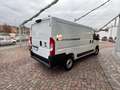 Fiat Ducato 33 2.2 Mjt 140CV MH1 (L2H1) Furgone prezzo + iva Bianco - thumbnail 4