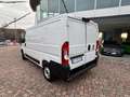 Fiat Ducato 33 2.2 Mjt 140CV MH1 (L2H1) Furgone prezzo + iva Bianco - thumbnail 3
