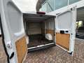 Fiat Ducato 33 2.2 Mjt 140CV MH1 (L2H1) Furgone prezzo + iva Bianco - thumbnail 6