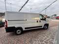 Fiat Ducato 33 2.2 Mjt 140CV MH1 (L2H1) Furgone prezzo + iva Bianco - thumbnail 5