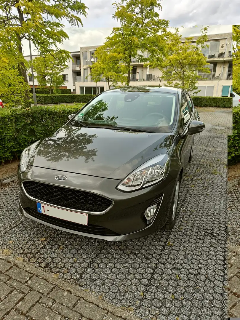 Ford Fiesta Fiesta 1.0 EcoBoost Gris - 1