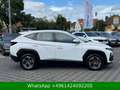 Hyundai TUCSON Select Hybrid KAMERA|VOLL-LED Weiß - thumbnail 7