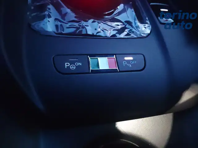 Alfa Romeo Tonale view 17
