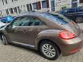 Volkswagen Beetle 1.2 TSI Design ××bitte um Angebote×× Braun - thumbnail 6
