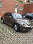 Volkswagen Beetle 1.2 TSI Design ××bitte um Angebote×× Braun - thumbnail 7