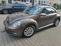 Volkswagen Beetle 1.2 TSI Design ××bitte um Angebote×× Braun - thumbnail 5