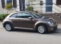 Volkswagen Beetle 1.2 TSI Design ××bitte um Angebote×× Braun - thumbnail 1