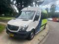 Mercedes-Benz Sprinter 313 2.2 CDI 366 9-personenbus euro-6 Білий - thumbnail 1