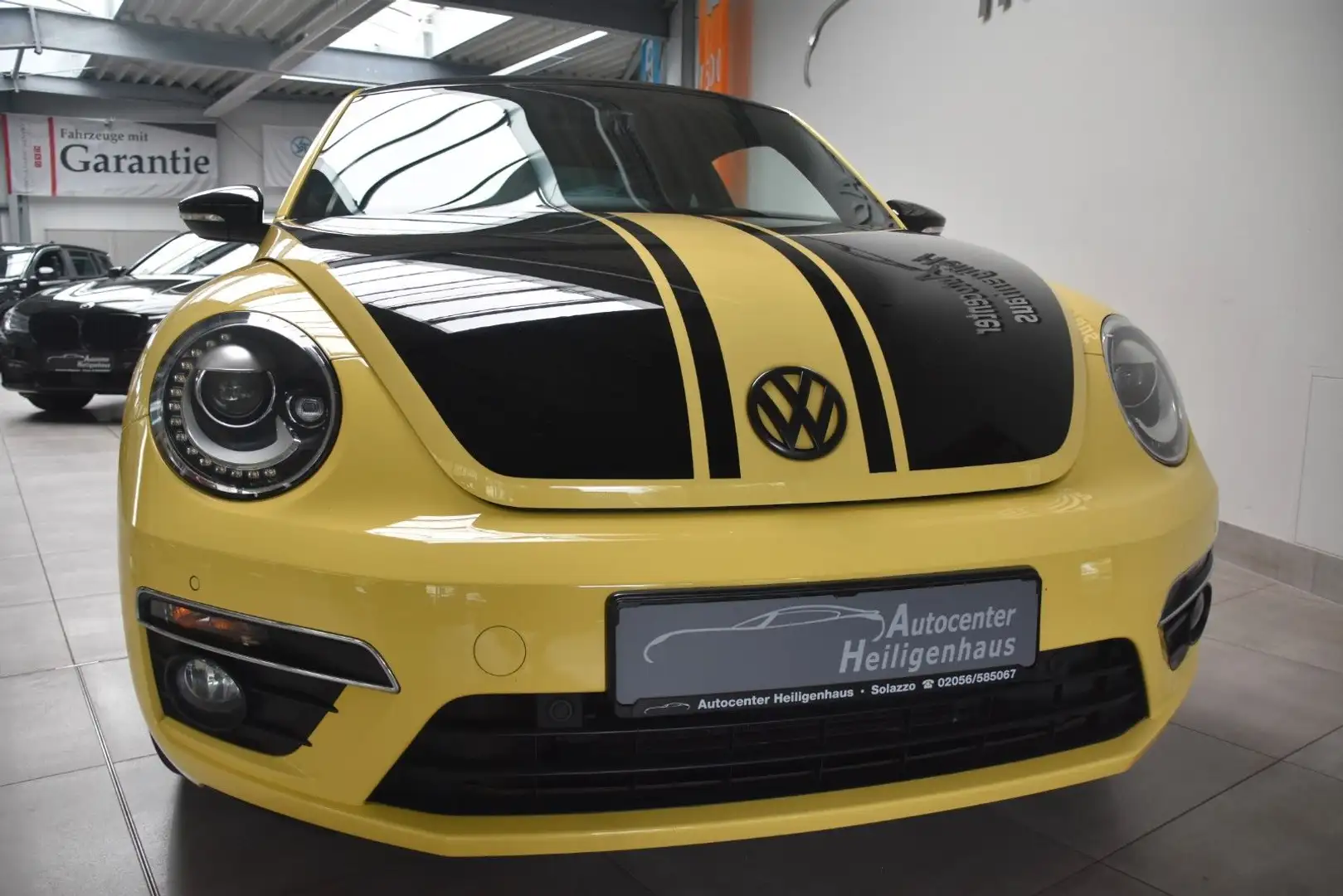 Volkswagen Beetle GSR Panorama CarPlay Kamera 2.Hand Alu19 Galben - 1