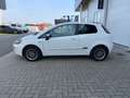 Fiat Punto Evo Punto EVO 1.2i Dynamic GARANTIE 12 MOIS Blanco - thumbnail 8