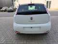 Fiat Punto Evo Punto EVO 1.2i Dynamic GARANTIE 12 MOIS Blanco - thumbnail 6