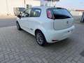 Fiat Punto Evo Punto EVO 1.2i Dynamic GARANTIE 12 MOIS Blanco - thumbnail 7