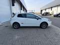 Fiat Punto Evo Punto EVO 1.2i Dynamic GARANTIE 12 MOIS Blanco - thumbnail 4